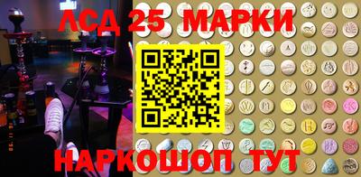 дмт Сланцы