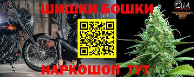 шишки Славгород