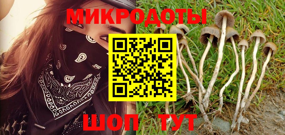 Псилоцибиновые грибы мухоморы  Галлюциногенные грибы Psilocybe  Семёнов  Вход с VPN 