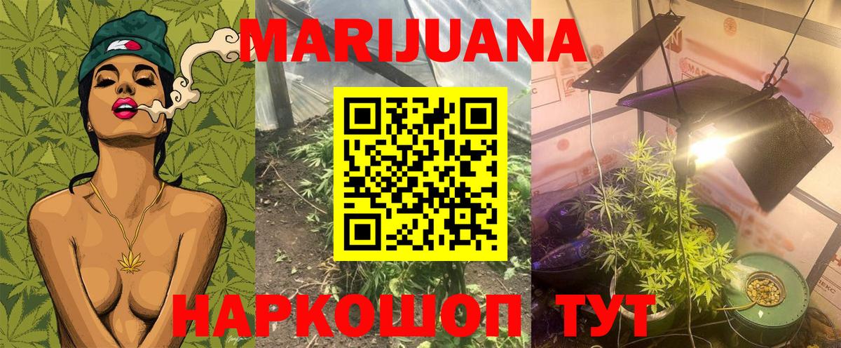 Марихуана Amnesia  Бошки марихуана ГИДРОПОН  Канабис планчик  Семёнов  Вход с VPN  Марихуана гибрид 